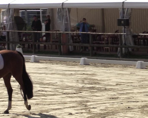 Reitturnier Albersloh 2020