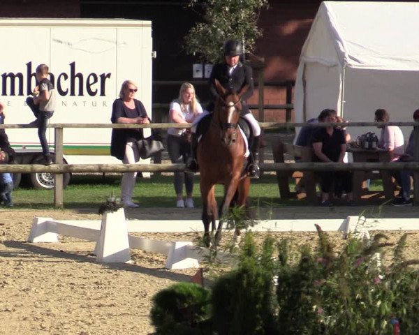 Reitturnier Albersloh 2020