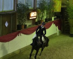 jumper El Cordiano (Oldenburg, 2010, from Elliot van Ter Hulst)