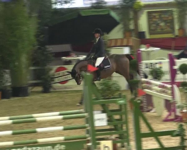 jumper Control it (Oldenburg, 2010, from Cornet's Prinz)