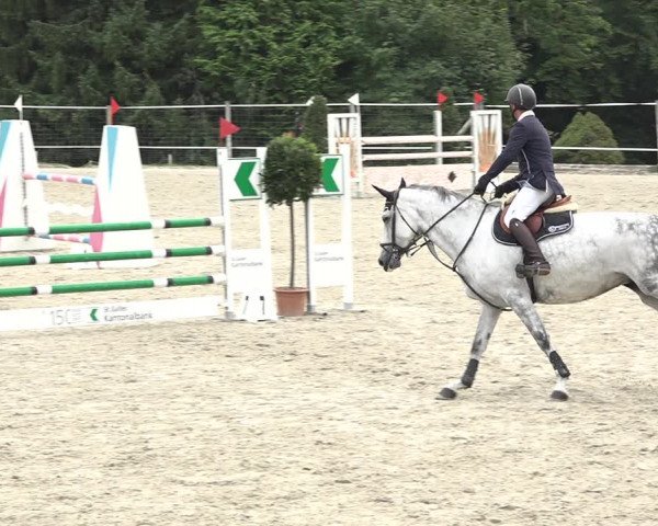 Reitturnier Winkel 2020
