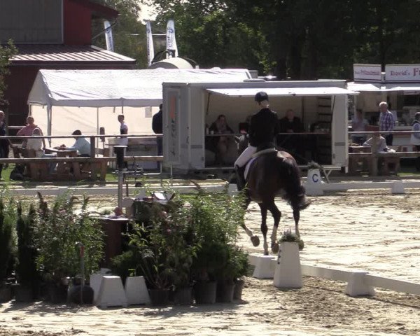 Reitturnier Albersloh 2020