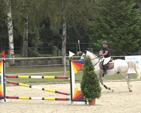 Reitturnier Winkel 2020
