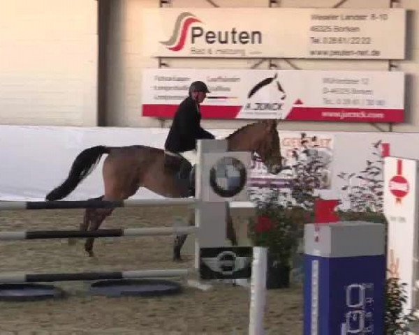 jumper Cash Flow 28 (Rhinelander, 2011, from Cassini Boy Junior)