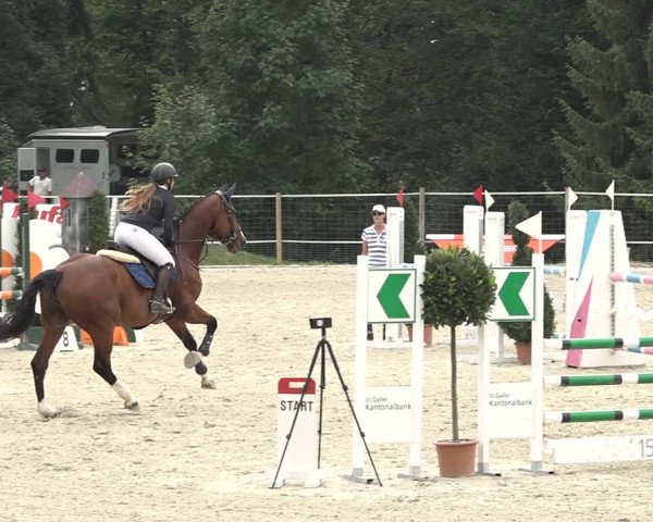 Reitturnier Winkel 2020