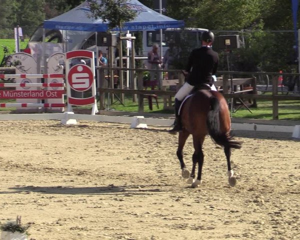 Reitturnier Albersloh 2020