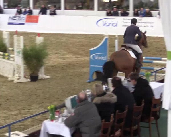 jumper Johnny Walker 62 (Oldenburg, 2010, from Zacharov Tn)