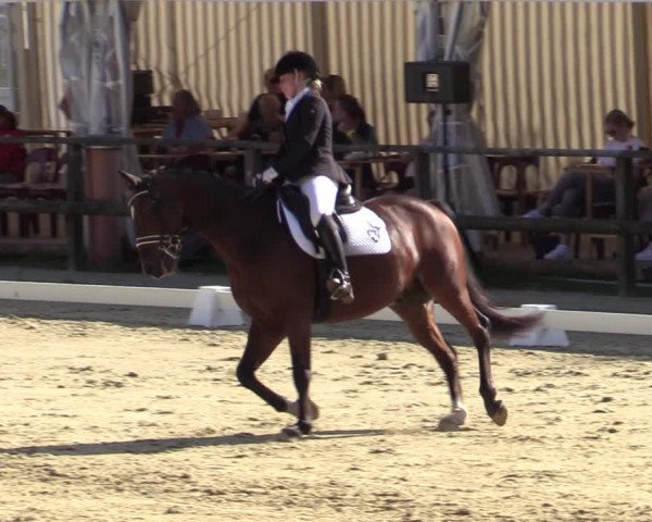 Reitturnier Albersloh 2020