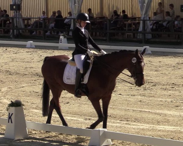 Reitturnier Albersloh 2020