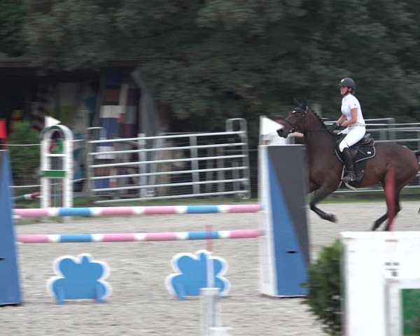Reitturnier Winkel 2020