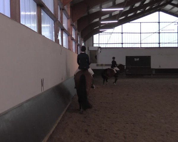 Reitturnier Albersloh 2020