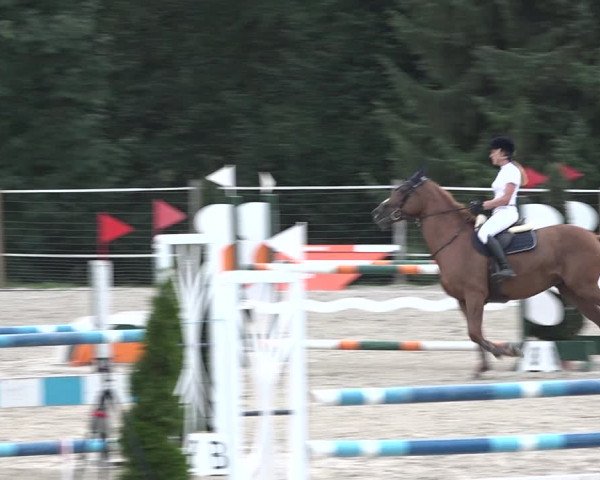 Reitturnier Winkel 2020