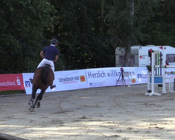 Reitturnier Buchenhof-Ibbenbüren 2020
