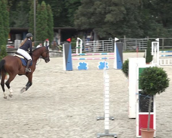 Reitturnier Winkel 2020