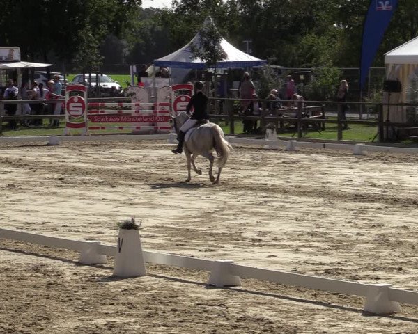 Reitturnier Albersloh 2020