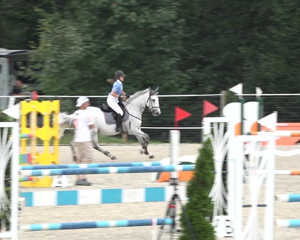 Reitturnier Winkel 2020