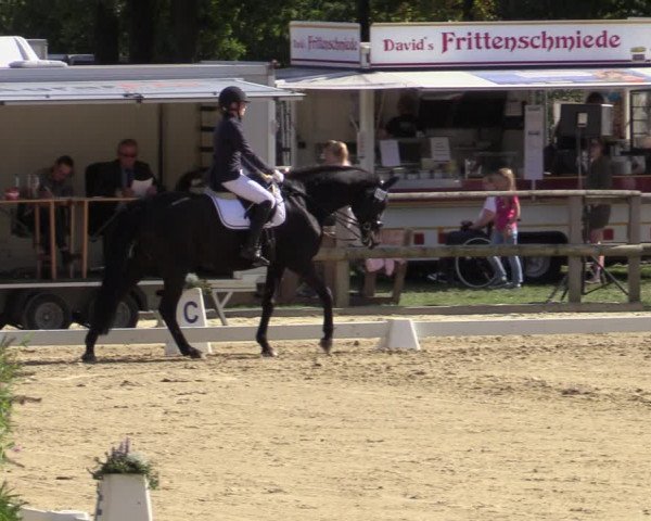 Reitturnier Albersloh 2020