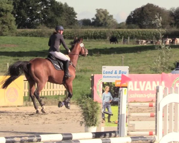Reitturnier Schülp / Rendsburg 2020
