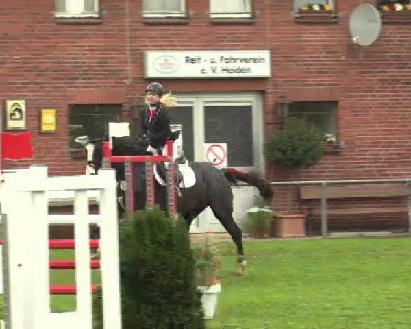 horse Sound of Silence 5 (Rhinelander, 2007, from Saint Tropez)