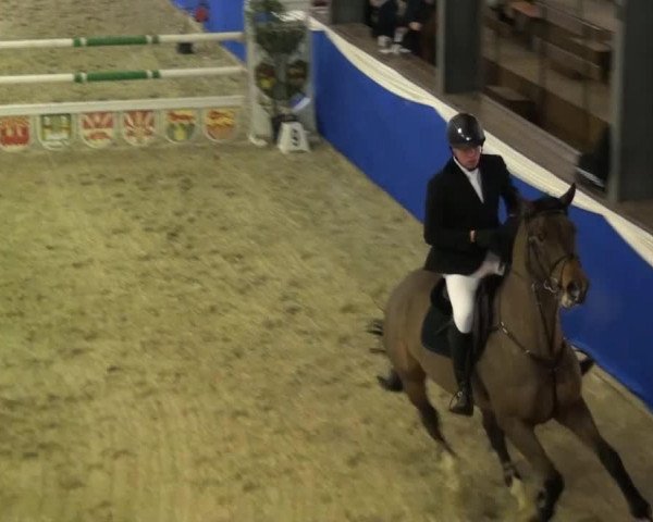 jumper Santa Maria 41 (Hanoverian, 2009, from Stakkato Gold)