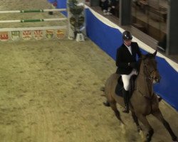 jumper Santa Maria 41 (Hanoverian, 2009, from Stakkato Gold)