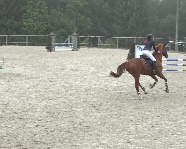 Reitturnier Winkel 2020