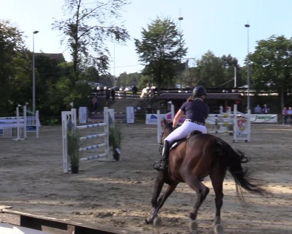 Reitturnier Buchenhof-Ibbenbüren 2020