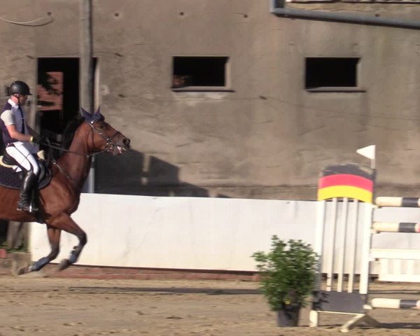 Reitturnier Buchenhof-Ibbenbüren 2020
