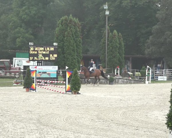 Reitturnier Winkel 2020