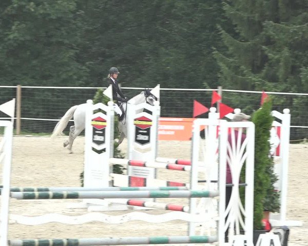 Reitturnier Winkel 2020
