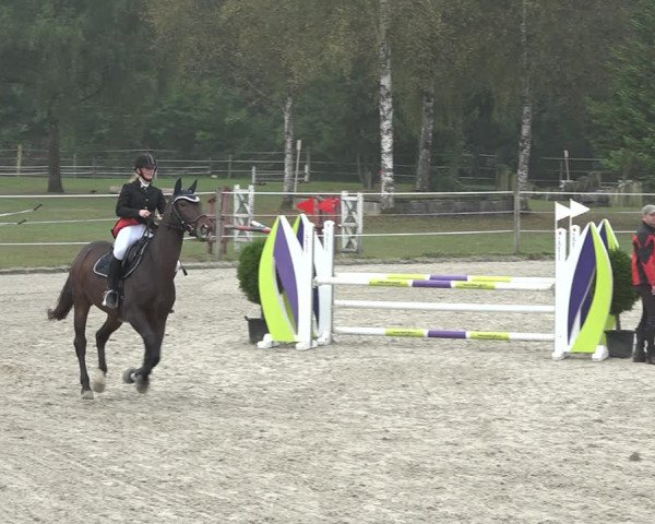 Reitturnier Winkel 2020