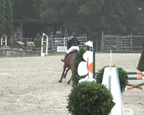 Reitturnier Winkel 2020