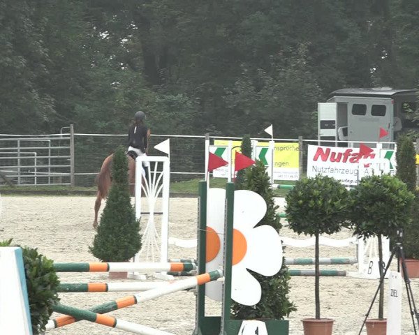 Reitturnier Winkel 2020