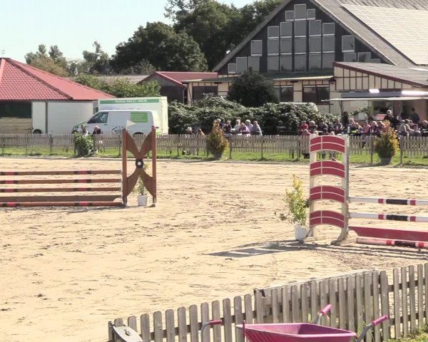 Reitturnier Schülp / Rendsburg 2020