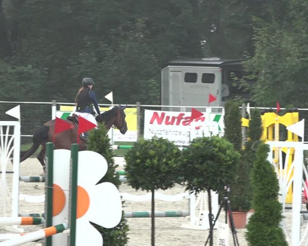 Reitturnier Winkel 2020
