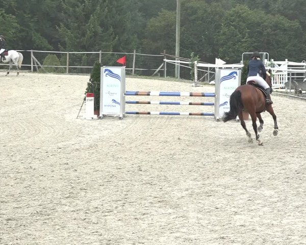 Reitturnier Winkel 2020