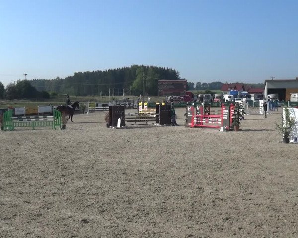 Reitturnier Sauldorf-Boll 2020