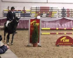 jumper Cabrio 8 (German Sport Horse, 2008, from Carpalo)
