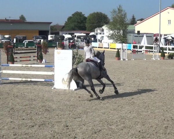 Reitturnier Sauldorf-Boll 2020