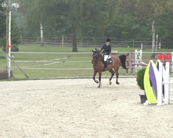 Reitturnier Winkel 2020