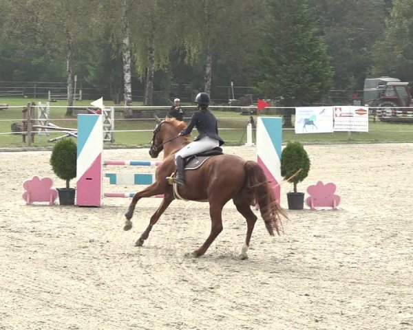 Reitturnier Winkel 2020