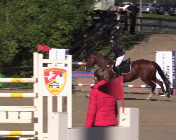 Reitturnier Buchenhof-Ibbenbüren 2020