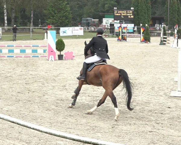 Reitturnier Winkel 2020