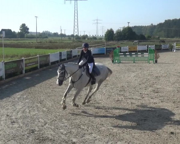 Reitturnier Sauldorf-Boll 2020