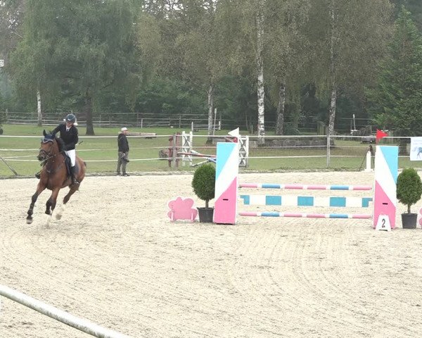 Reitturnier Winkel 2020