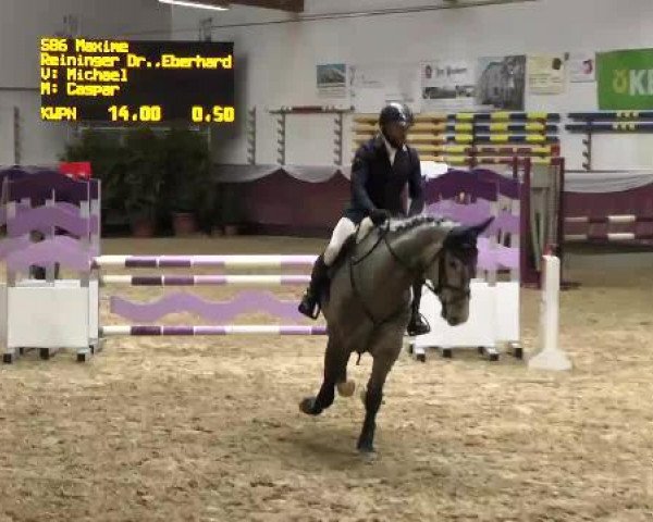 Springpferd Maxime 38 (KWPN (Niederländisches Warmblut), 2010, von Michael)