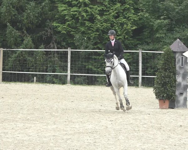 Reitturnier Winkel 2020