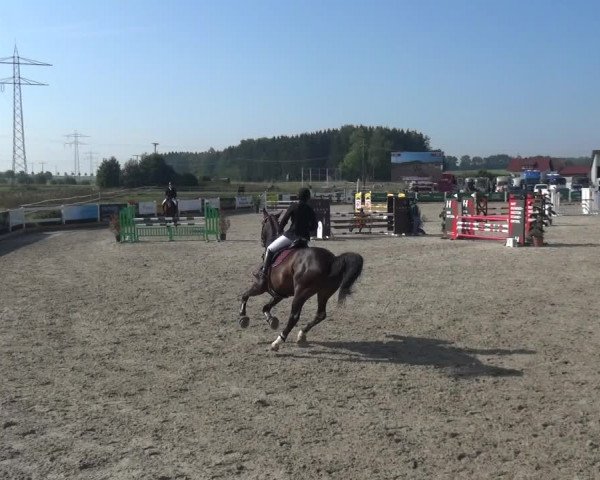 Reitturnier Sauldorf-Boll 2020