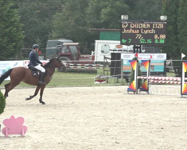 Reitturnier Winkel 2020