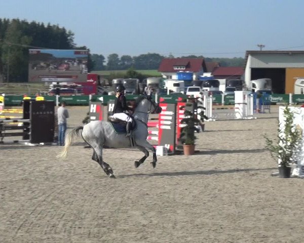Reitturnier Sauldorf-Boll 2020
